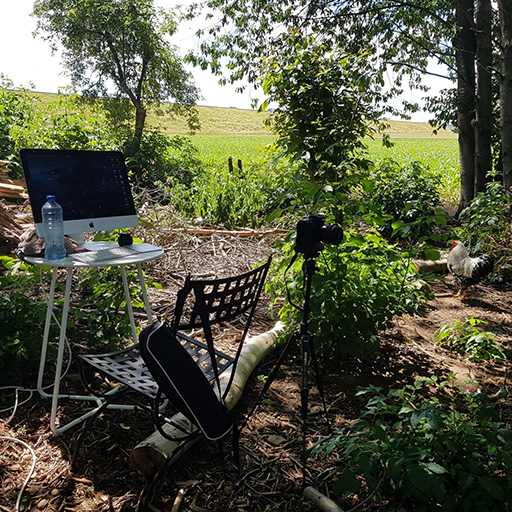 De opstelling in de tuin voor de online shoot met model Khiara