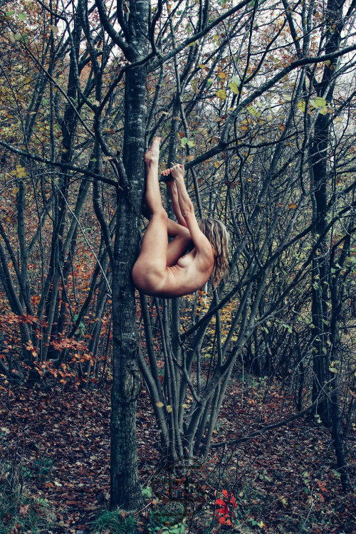 Luna poseert aan de rand van een vennetje in een prachtig herfstlandschap